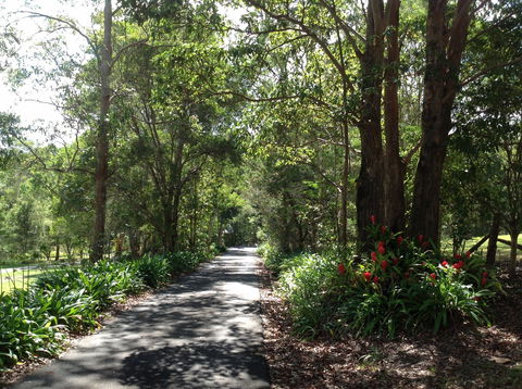 Maleny Country Cottages - Northern Rivers Accommodation 8