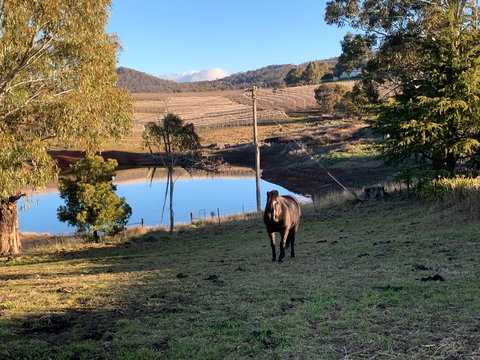 Melrose Cottage - Northern Rivers Accommodation 2