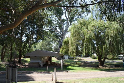 Molesworth Recreation Reserve And Caravan Park - Northern Rivers Accommodation 8