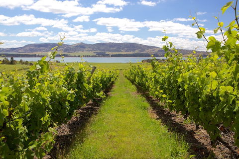 Riversdale Estate Cottages - Northern Rivers Accommodation 1