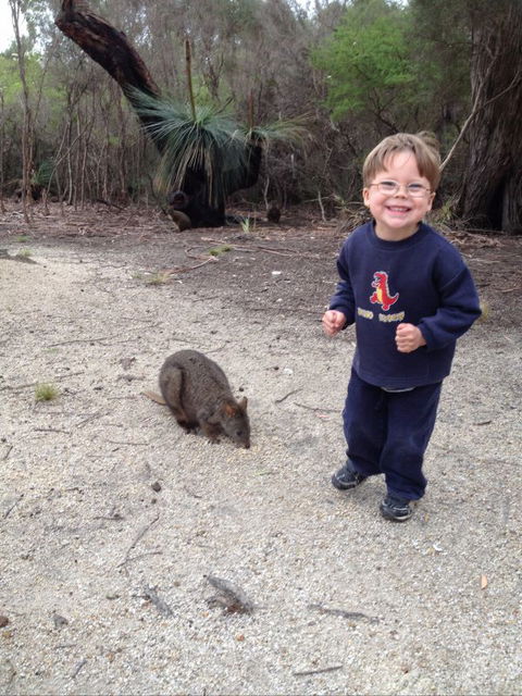 The Patriarch Wildlife Sanctuary Camping Ground - Northern Rivers Accommodation 1