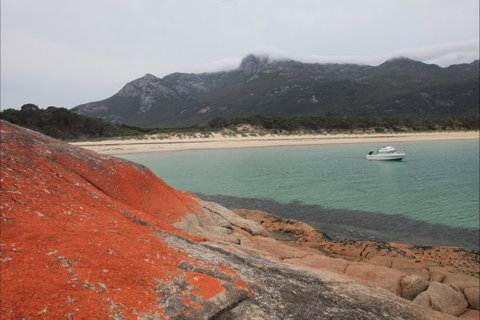 Trousers Point Camping Ground - Northern Rivers Accommodation 0