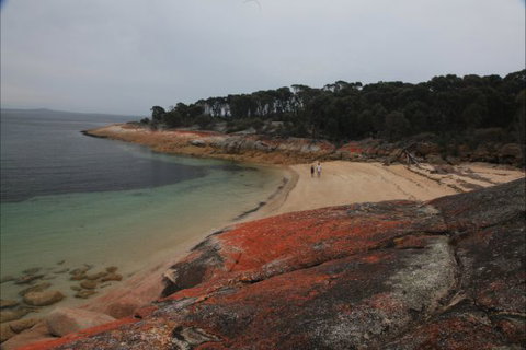 Trousers Point Camping Ground - Northern Rivers Accommodation 1