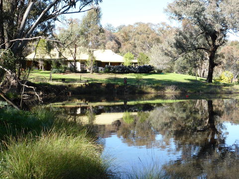 Wildwood Guesthouse - Northern Rivers Accommodation 3