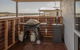 96 Marina Way Mannum Waters - River Shack Rentals - thumb 4