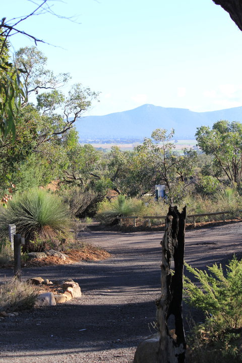 Aquila Eco Lodges - Northern Rivers Accommodation 5