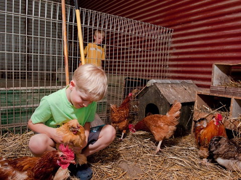 Bilpin Country Lodge - Northern Rivers Accommodation 2