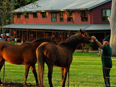 Bilpin Country Lodge - Northern Rivers Accommodation 3
