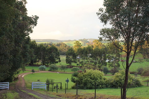 Blue House Bed And Breakfast - Northern Rivers Accommodation 2