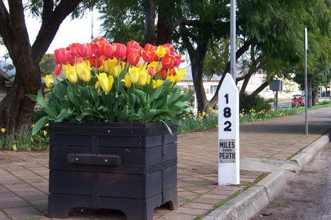 Blue House Bed And Breakfast - Northern Rivers Accommodation 9