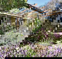 Capertee Homestead - 'Port Macquarie' - Northern Rivers Accommodation
