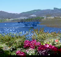 Donalea Bed  Breakfast Tasmania - Northern Rivers Accommodation