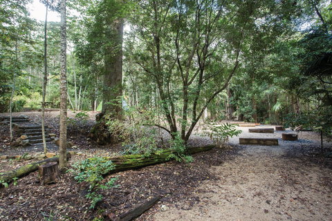 Eungella National Park Camping - Northern Rivers Accommodation 0