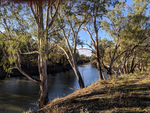 Four Mile Camping Reserve - Northern Rivers Accommodation 2
