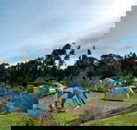 Freemans campground - Northern Rivers Accommodation