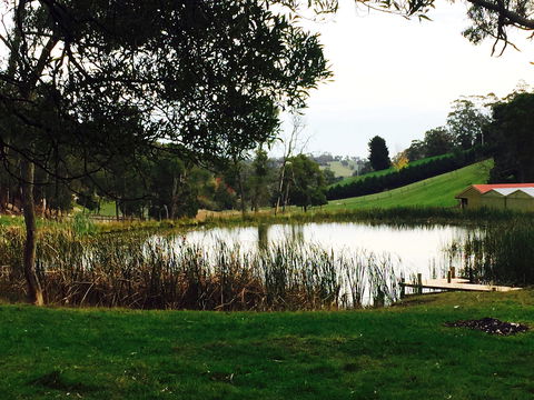 Gracefield Estate - Northern Rivers Accommodation 0