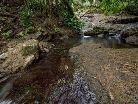 Jacky Barkers Campground - Northern Rivers Accommodation 1