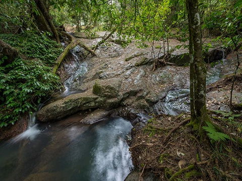 Jacky Barkers Campground - Northern Rivers Accommodation 3