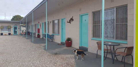 Kadina Village Motel - Northern Rivers Accommodation 2