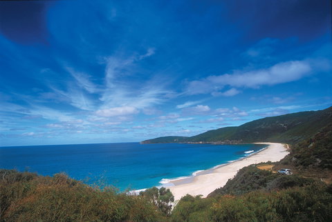 Shelley Beach Camp At West Cape Howe National Park - Northern Rivers Accommodation 0