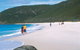 Shelley Beach Camp At West Cape Howe National Park - thumb 1