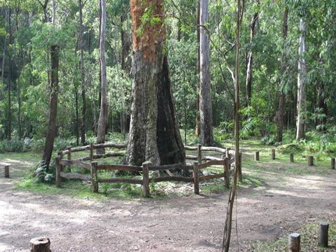 Six Mile Creek Campground - Northern Rivers Accommodation 0