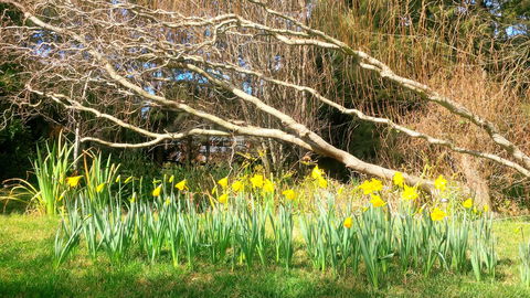Southdown Cottage Bowral - Northern Rivers Accommodation 6