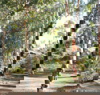 Bald Hill  Camp at Avon Valley National Park - Northern Rivers Accommodation