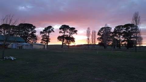 Braidwood Showground - Caravans And Camping - Northern Rivers Accommodation 0