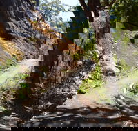 Centre Road Crossing Camp at Mount Frankland South National Park - Northern Rivers Accommodation