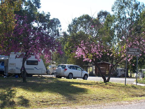 Eidsvold Caravan Park - Northern Rivers Accommodation 0
