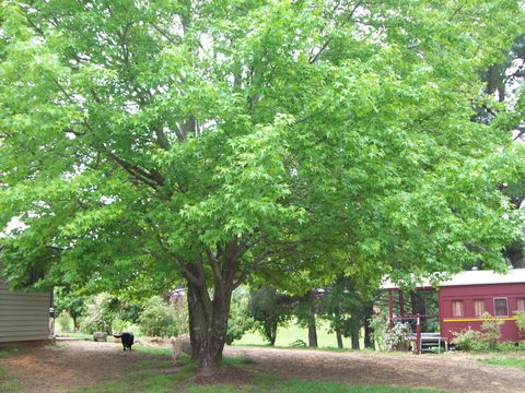 Hill End Holiday Ranch - Northern Rivers Accommodation 0