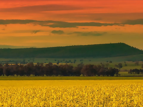 Lockhart Motel - Northern Rivers Accommodation 1