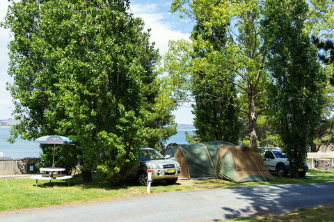 Rainbow Pines Tourist Caravan Park - Northern Rivers Accommodation 1