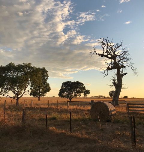 Rocklea Farm - Northern Rivers Accommodation 0