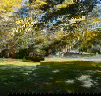 Scenic Rim Adventure Park - Northern Rivers Accommodation