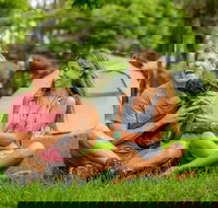 Secura Lifestyle Countryside Kalaru - Northern Rivers Accommodation