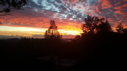 Tamborine Mountain Bed And Breakfast - Northern Rivers Accommodation 2