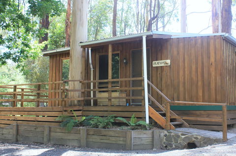 Tarra Valley Caravan Park - Northern Rivers Accommodation 1