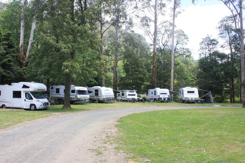 Tarra Valley Caravan Park - Northern Rivers Accommodation 2