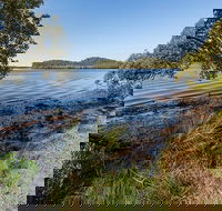 Tattersalls campground - Northern Rivers Accommodation