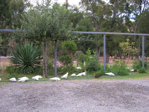 Tim's Place - Northern Rivers Accommodation 1