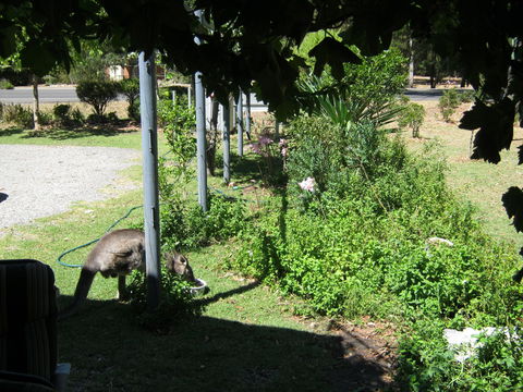 Tim's Place - Northern Rivers Accommodation 2