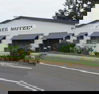 Tree Motel - Northern Rivers Accommodation