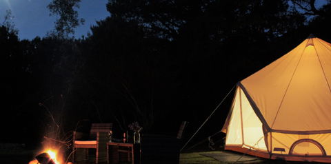 Zeehan Bush Camp - Northern Rivers Accommodation 1