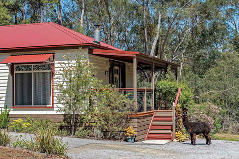 Araluen Park Cottages - Northern Rivers Accommodation 0
