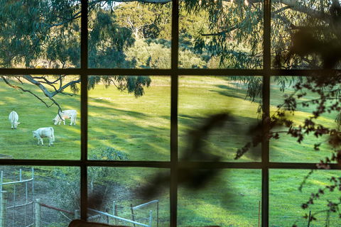 Australia Suite - Northern Rivers Accommodation 1