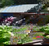 Barefoot Springs B and B - Northern Rivers Accommodation