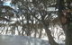 Barina Milpara Lodge - thumb 1