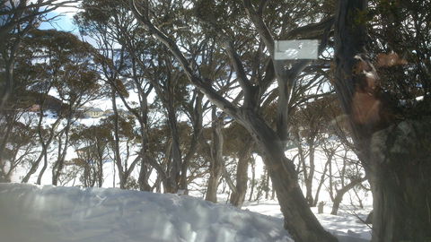 Barina Milpara Lodge - Northern Rivers Accommodation 1